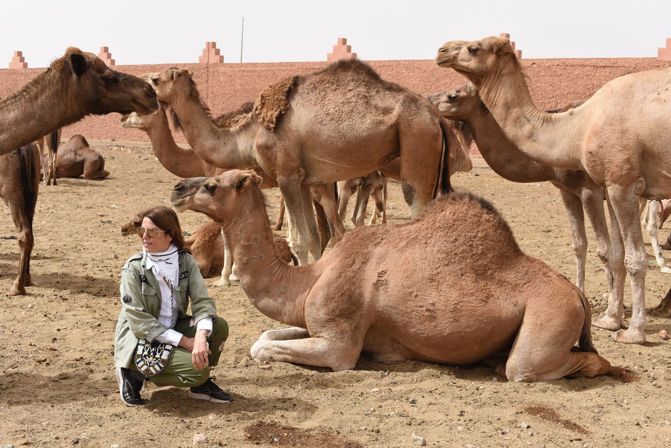 Maryam Montague with camels